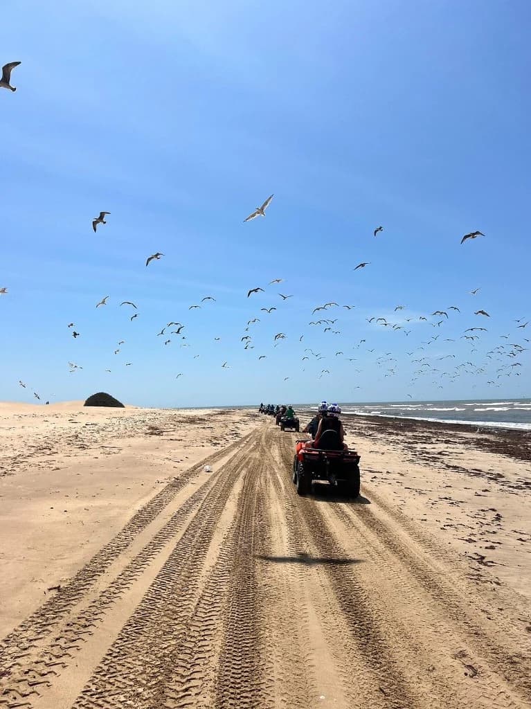 Quad convoy along Atlantic beach near Essaouira with seagulls overhead