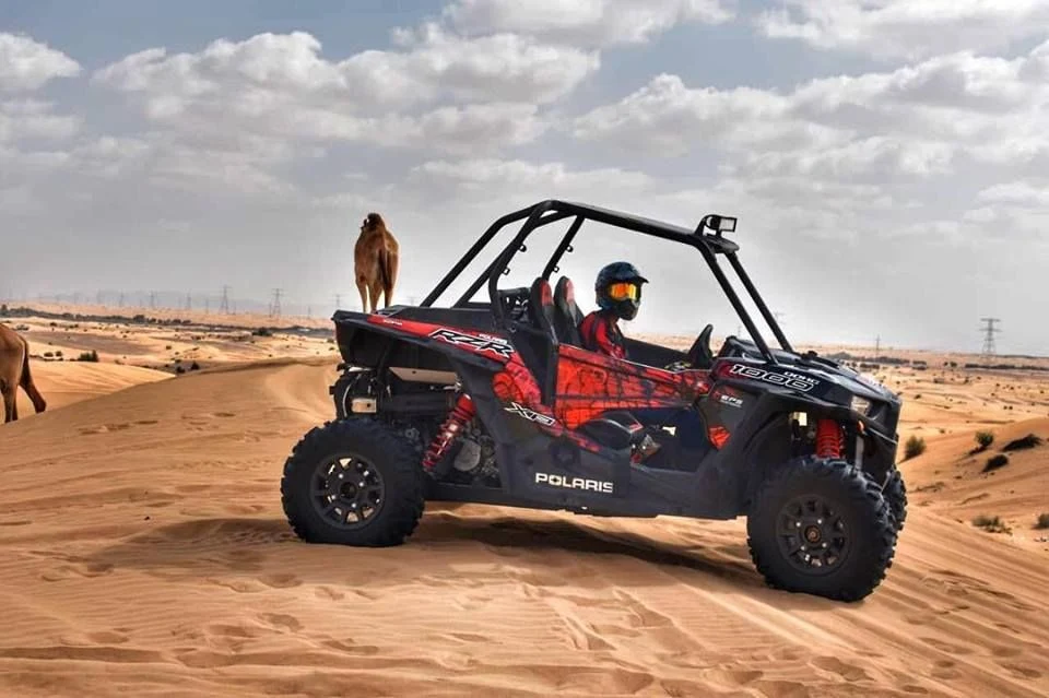 Essaouira buggy on Atlantic sand dunes with camel in the background — late afternoon Polaris RZR ride